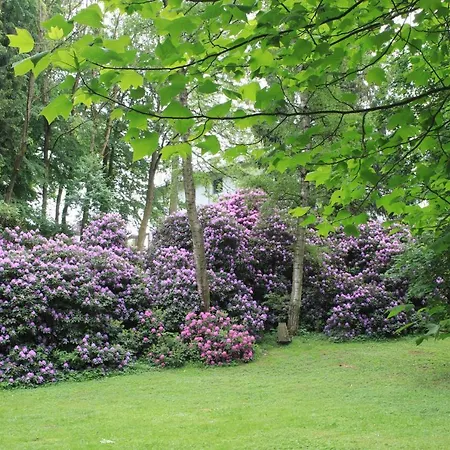 Brodthage, App. 2 * Walkenried