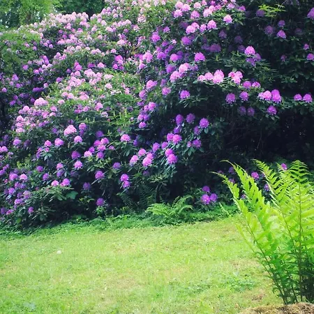 Apartment Brodthage, App. 2 Walkenried