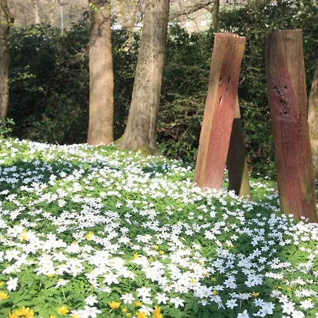 Brodthage, App. 2 * Walkenried