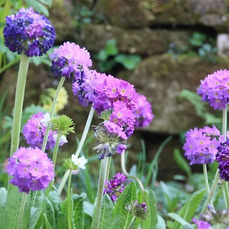 Brodthage, App. 2 Apartment