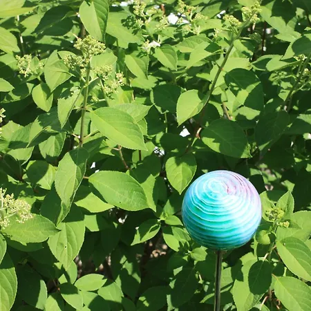 Brodthage, App. 2 Apartment Walkenried