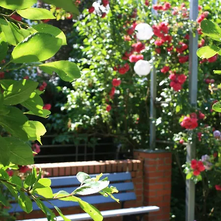 Brodthage, App. 2 Apartment *