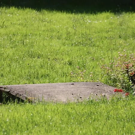 Apartment Brodthage, App. 2 Walkenried