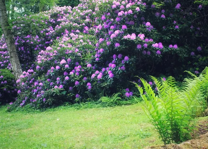 Διαμέρισμα Brodthage, App. 2 Walkenried