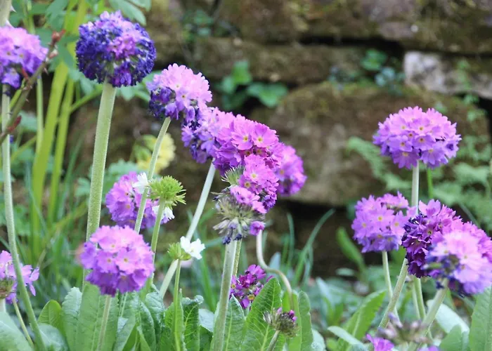 Brodthage, App. 2 Διαμέρισμα