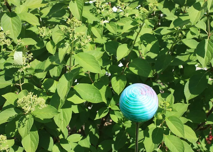 Brodthage, App. 2 Διαμέρισμα Walkenried