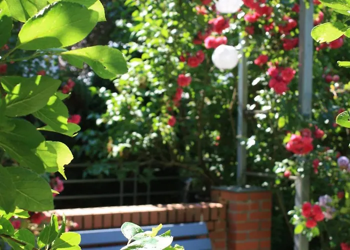 Brodthage, App. 2 Διαμέρισμα *