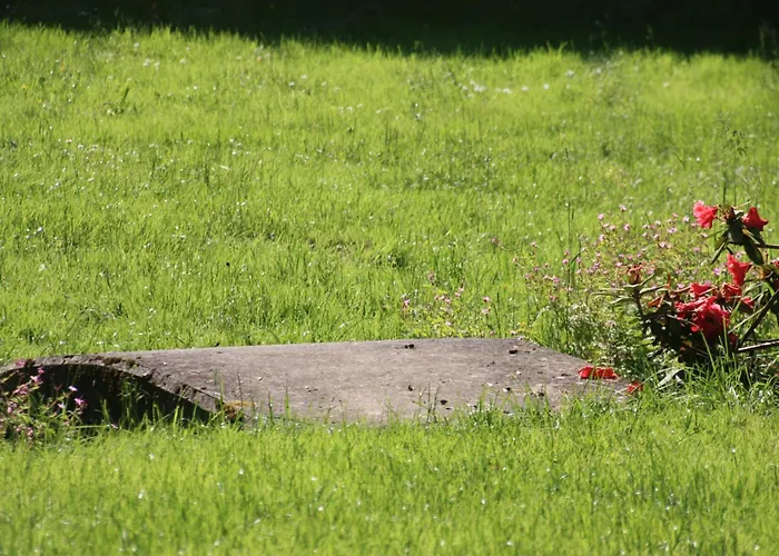 Διαμέρισμα Brodthage, App. 2 Walkenried